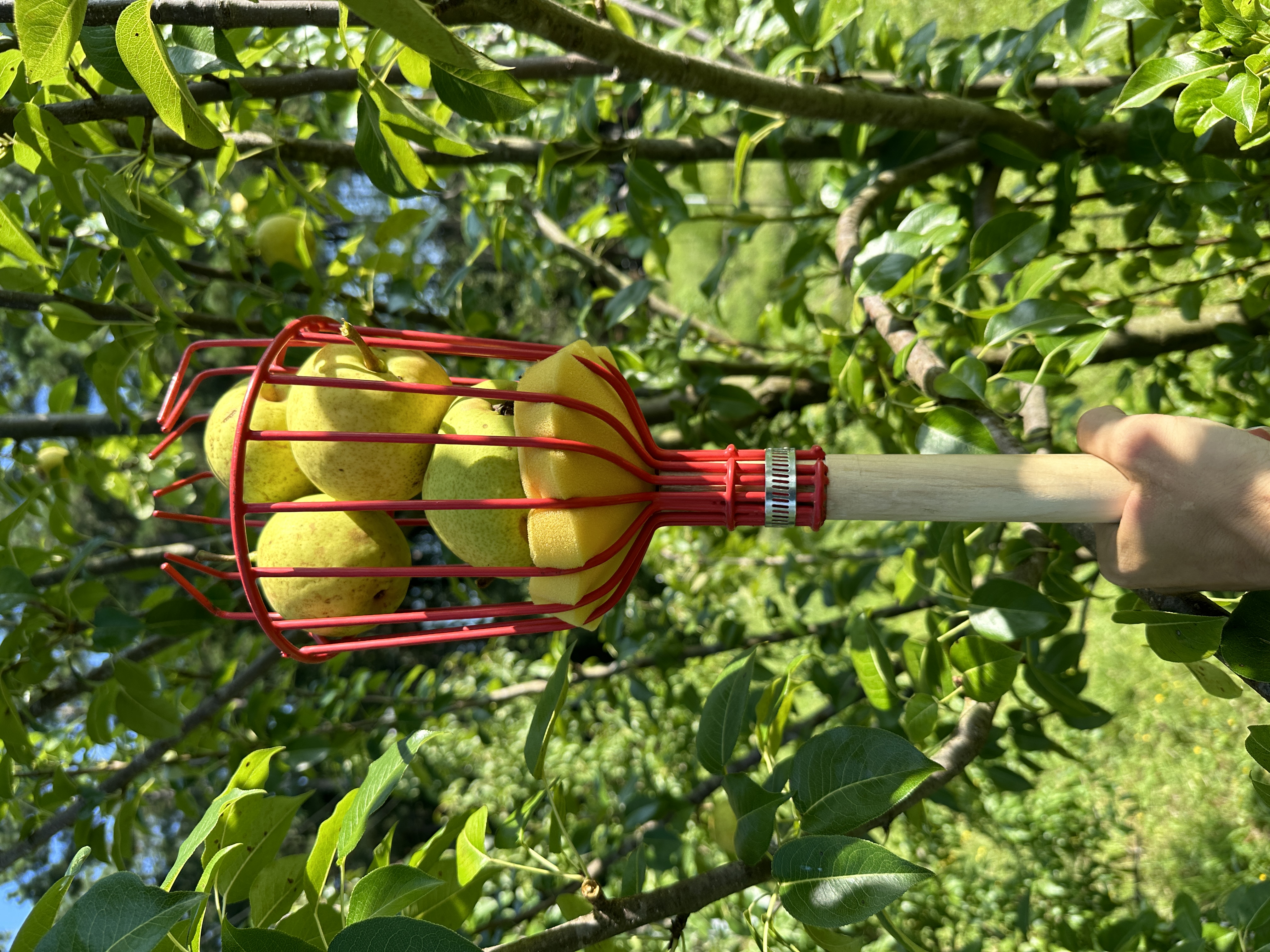 Garden Wrap-UP
